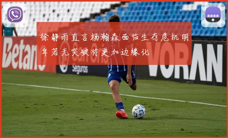 徐静雨直言杨瀚森面临生存危机明年若无突破将更加边缘化